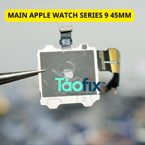 main apple watch series 9 45mm thumb