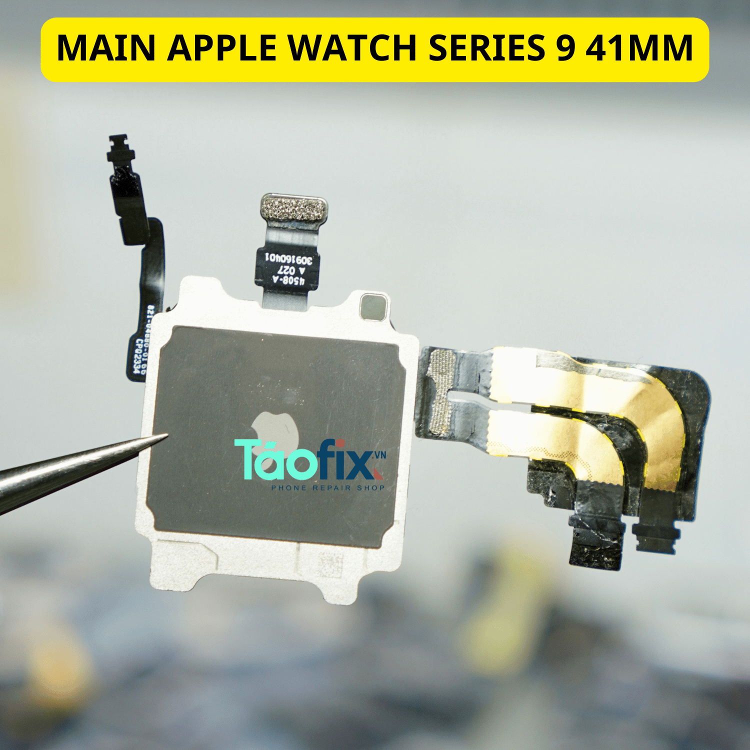 main apple watch series 9 41mm