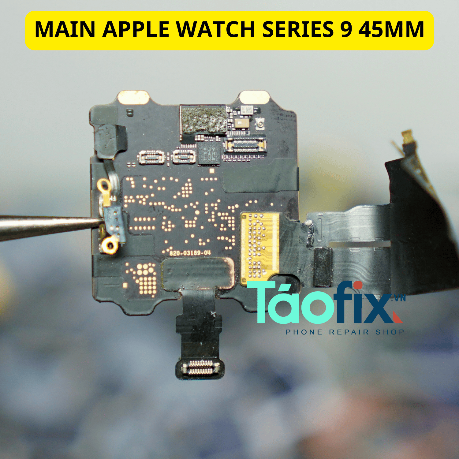 main apple watch series 9 45mm