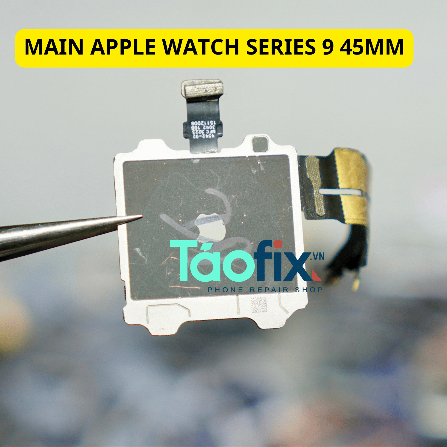 main apple watch series 9 45mm